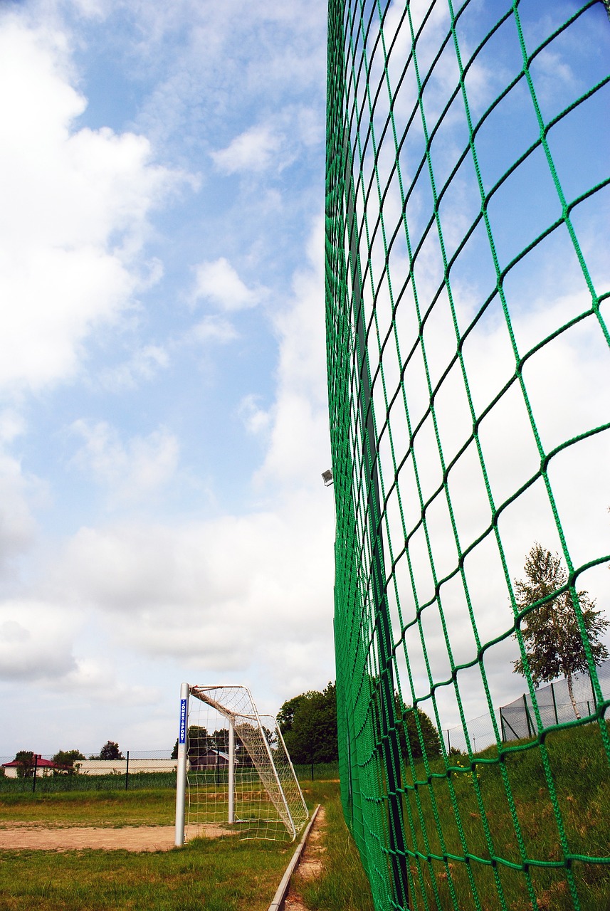 不仅是她个 不仅是她个