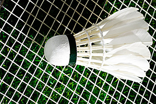 米尔斯场均4.4分，加盟快船后表现如何？交易前后对比分析，快船未来的关键角色？.